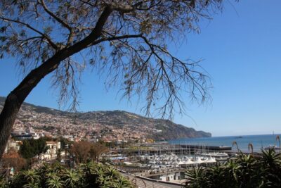 Funchal: Private Tour with a Local Guide - Easiest ways to get around Madeira: learn before you scramble