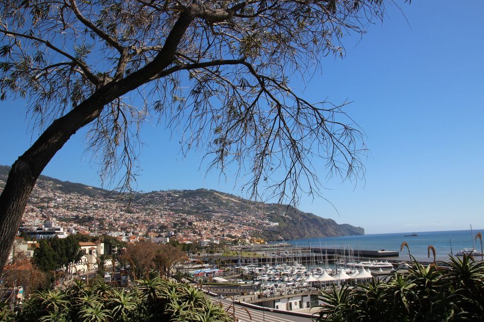 Funchal: Private Tour with a Local Guide - Easiest ways to get around Madeira: learn before you scramble