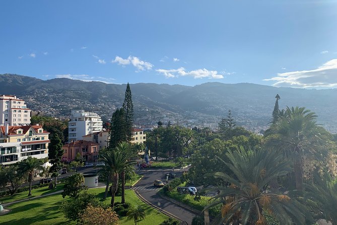 Funchal Private Transfers Service to Madeira Airport - The ride time you can plan your morning around (20–30 minutes)