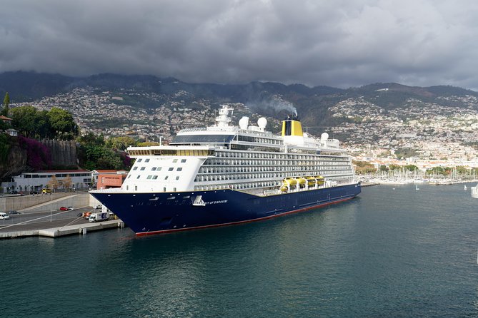 Funchal Private Vehicle Service with Driver for a Half Day or Full Day - Key Things I’d Watch Before Booking