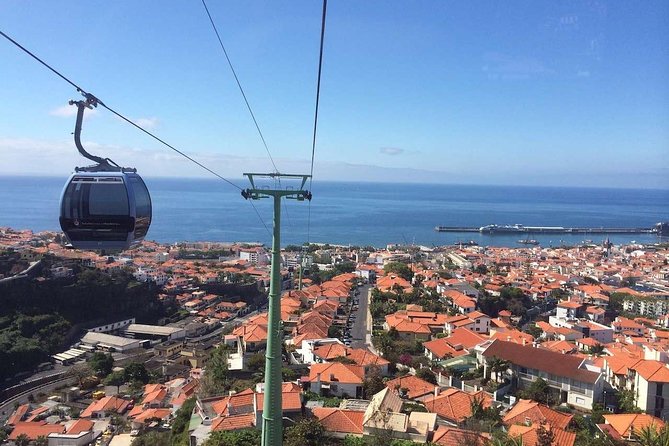Funchal Private Vehicle Service with Driver for a Half Day or Full Day - Driver Quality: The Difference Between a Trip and a Memory