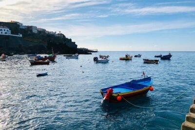 Funchal Private Vehicle Service with Driver for a Half Day or Full Day - Pickup in Funchal: Cruise Terminal, Hotel, and Airbnb Details That Matter