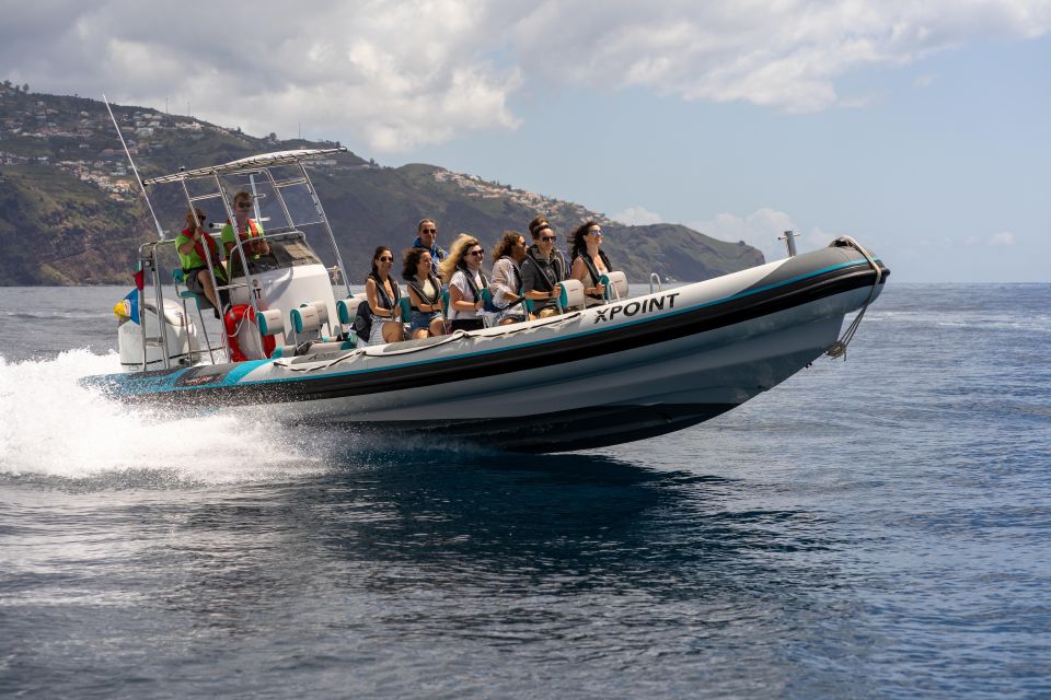 Funchal: RIB Whale Watching Cruise and Optional Dolphin Swim - Key things that make this cruise worth your time