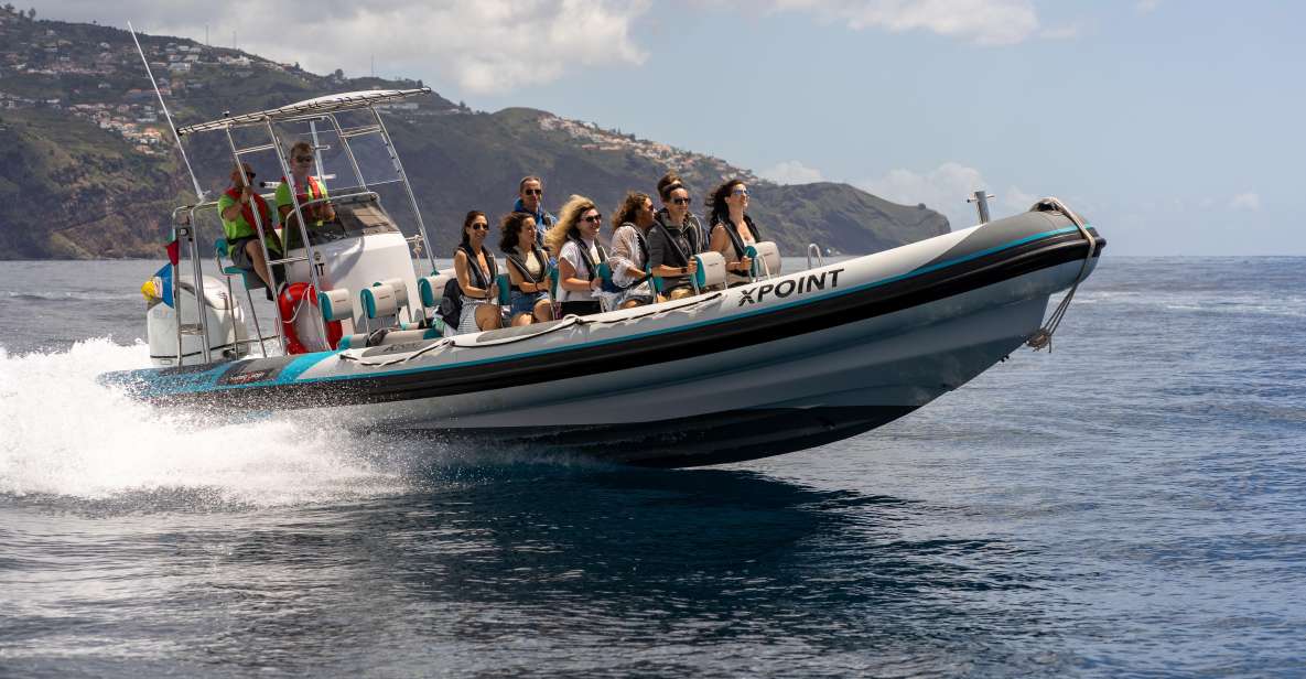 Funchal: RIB Whale Watching Cruise and Optional Dolphin Swim - A 2.5-hour RIB cruise that feels like Madeira’s ocean in motion