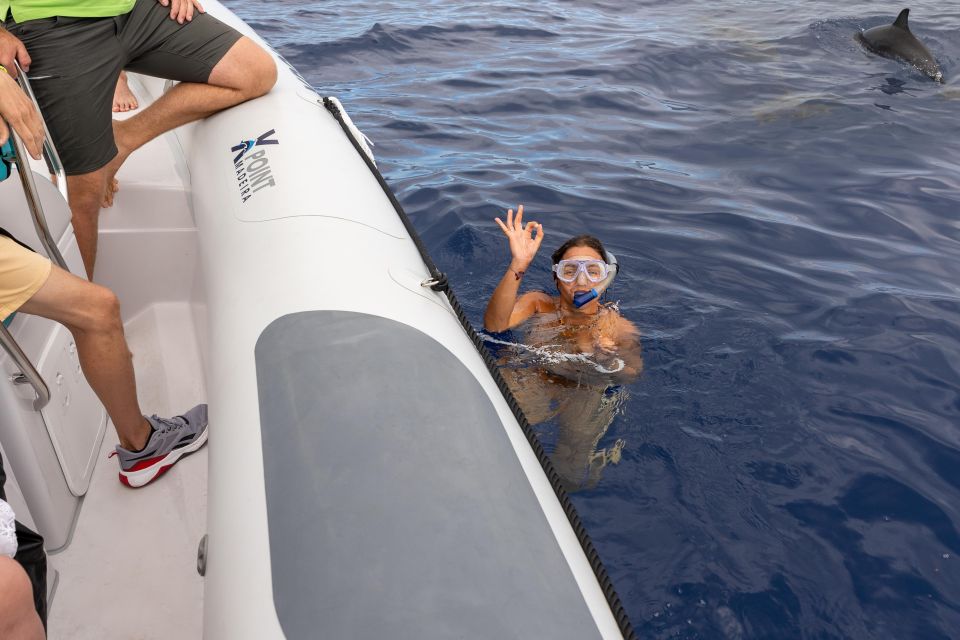 Funchal: RIB Whale Watching Cruise and Optional Dolphin Swim - How dolphins and whales get found off Funchal