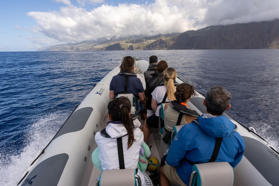 Funchal: RIB Whale Watching Cruise and Optional Dolphin Swim - The practical logistics you’ll want to know upfront