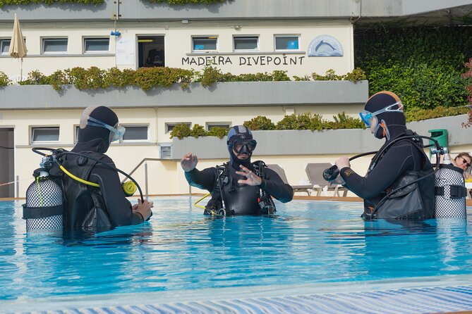 Funchal: Scuba Diving Experience for Beginners - Where You Meet (and Why Location Helps)