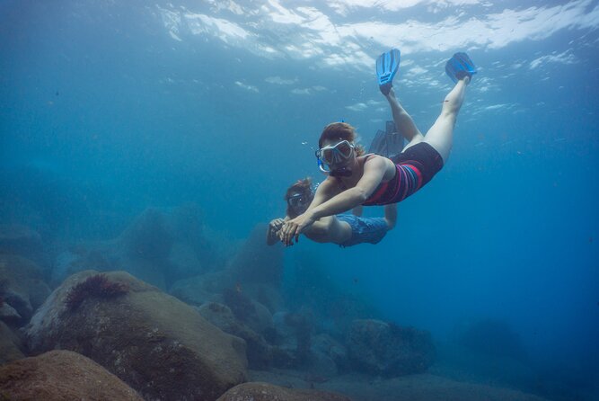 Funchal: Snorkeling Adventure in Eco-Park / Shore or by Boat - Two ways to snorkel in Madeira’s Marine Eco Park