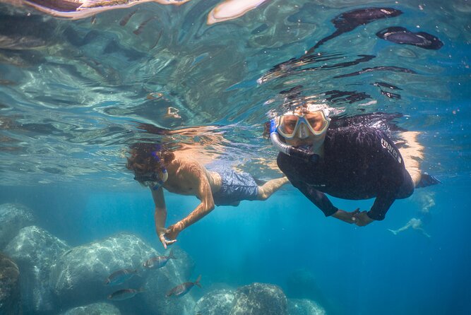 Funchal: Snorkeling Adventure in Eco-Park / Shore or by Boat - The safety briefing and mini snorkeling lesson (why it matters)