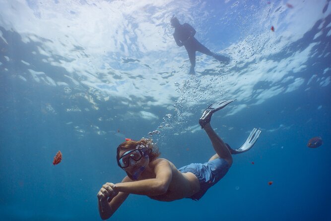 Funchal: Snorkeling Adventure in Eco-Park / Shore or by Boat - Shore snorkeling vs boat snorkeling: choose based on comfort and payoff