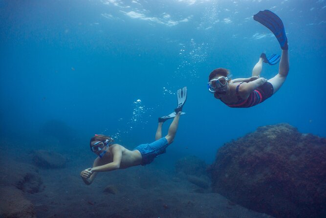 Funchal: Snorkeling Adventure in Eco-Park / Shore or by Boat - Gear, wetsuits, and staying warm for a two-hour swim