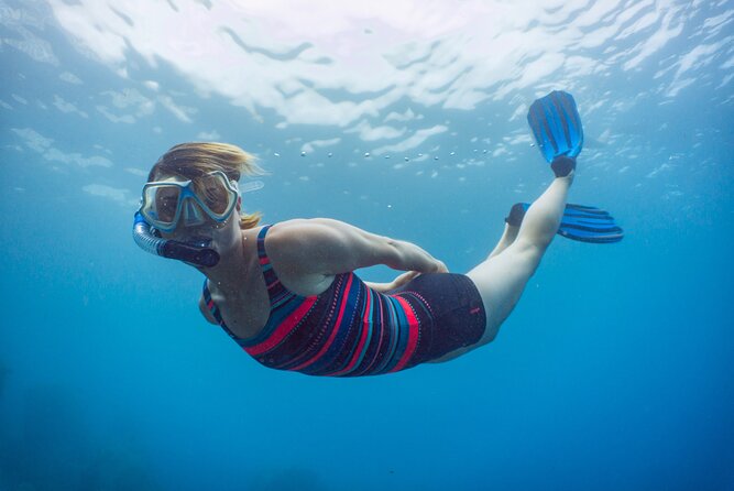 Funchal: Snorkeling Adventure in Eco-Park / Shore or by Boat - Getting to the meeting point at Hotel Carlton (and not losing time)