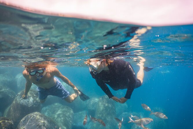 Funchal: Snorkeling Adventure in Eco-Park / Shore or by Boat - Price and value: is $18.02 a good deal?