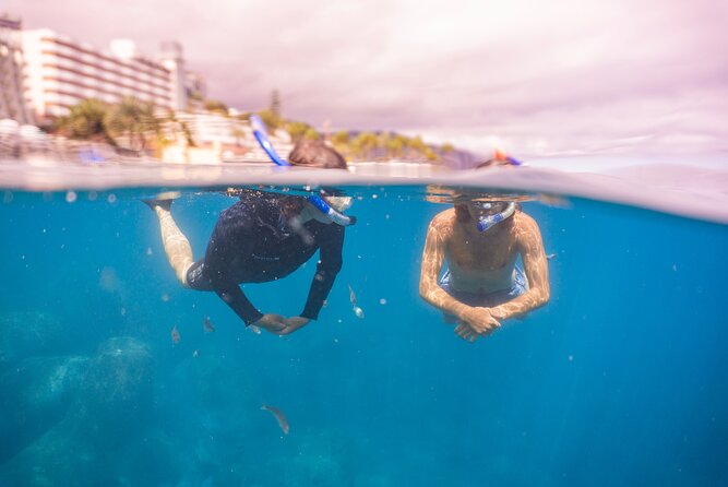 Funchal: Snorkeling Adventure in Eco-Park / Shore or by Boat - Should you book this Funchal snorkeling adventure?