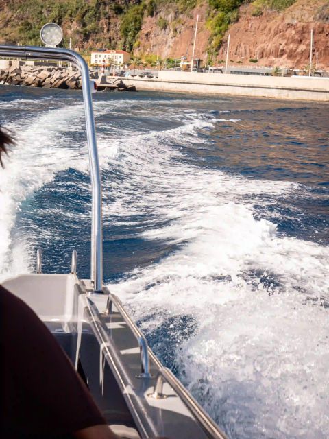 Funchal: Speedboat SEE THE ISLAND AND LIFE AT SEA - The Mid-Tour Water Moment: Plan for a Cooling Plunge