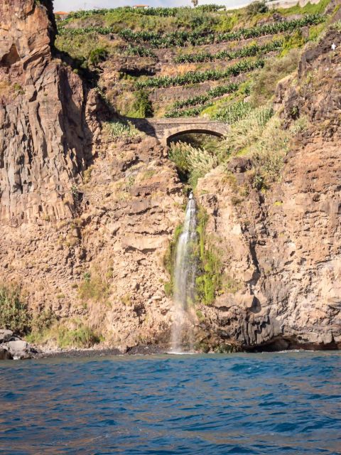 Funchal: Speedboat SEE THE ISLAND AND LIFE AT SEA - Eco-Friendly Framing: Marine Respect Is Part of the Pitch