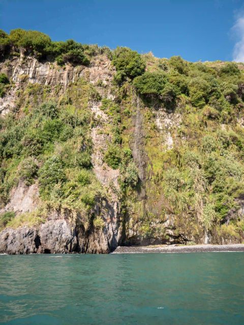 Funchal: Speedboat SEE THE ISLAND AND LIFE AT SEA - What You Pay ($41) and Whether It’s Good Value
