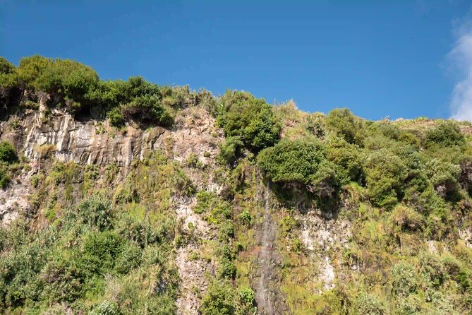 Funchal: Speedboat tour- SEE THE ISLAND AND LIFE AT SEA - The Mid-Tour Water Break: Snorkel Gear and a Planned Swim Stop