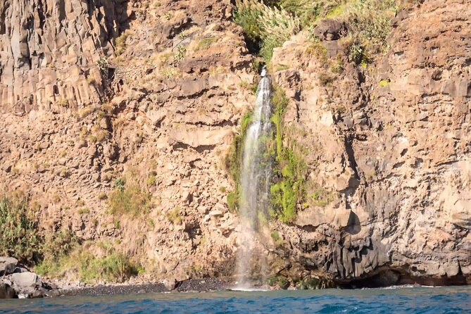 Funchal: Speedboat tour- SEE THE ISLAND AND LIFE AT SEA - Eco-Friendly by Design: Respecting the Water You’re Visiting