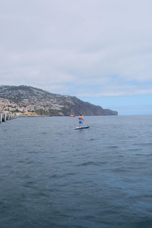 Funchal: Standup Paddle - Price and Value: Is $35 a Good Deal?