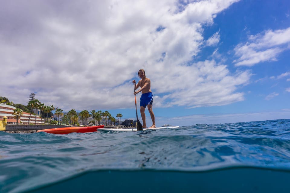 Funchal: SUP Rental or Guided tour with snorkeling - SUP in Funchal, 1.5 hours on the Atlantic (with a snorkeling break)
