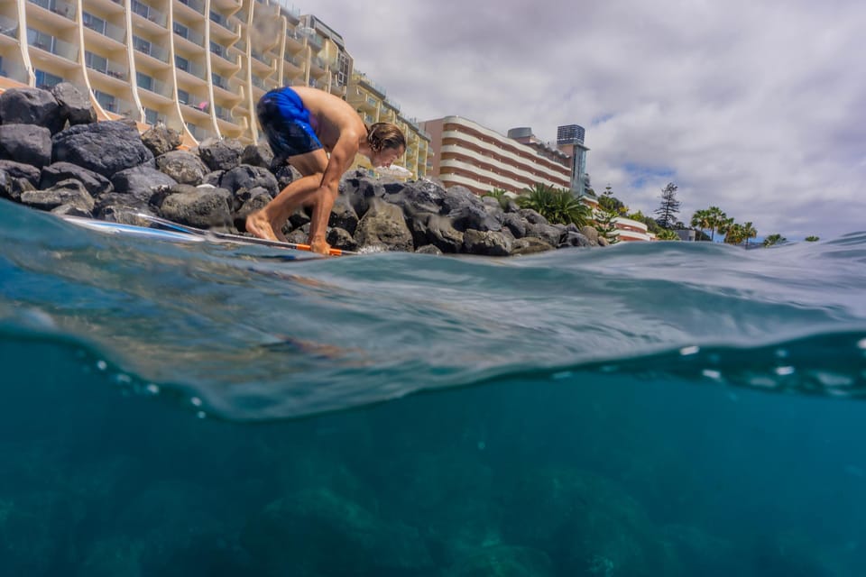Funchal: SUP Rental or Guided tour with snorkeling - Who this SUP + snorkeling trip is best for