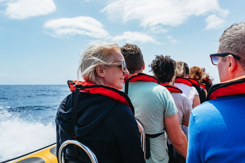 Funchal: Whale and Dolphin Watching Speed Boat Tour - Comfort checklist: what to pack for a fast, spray-prone day