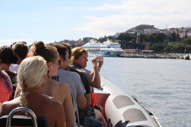 Funchal: Whale Watching and Swimming with Dolphins Cruise - Fast Semi-Rigid Boat + Marine Biologist = A Smarter Day at Sea