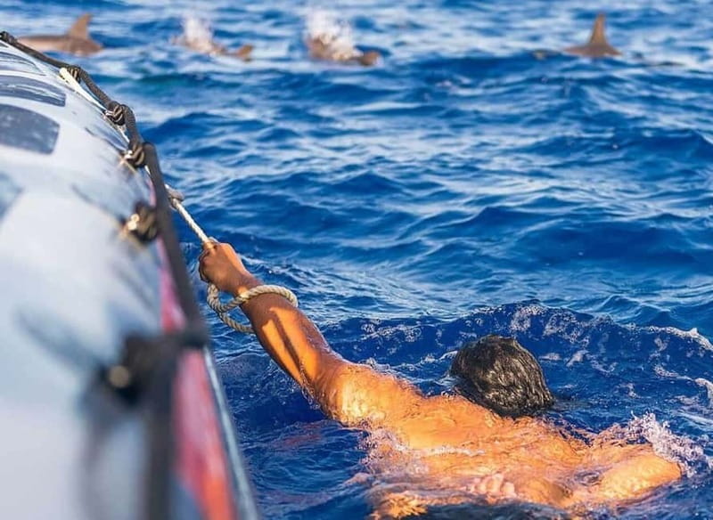 Funchal: Whale Watching and Swimming with Dolphins Cruise - Where You Meet in Funchal: Store 35 on Rota dos Cetáceos
