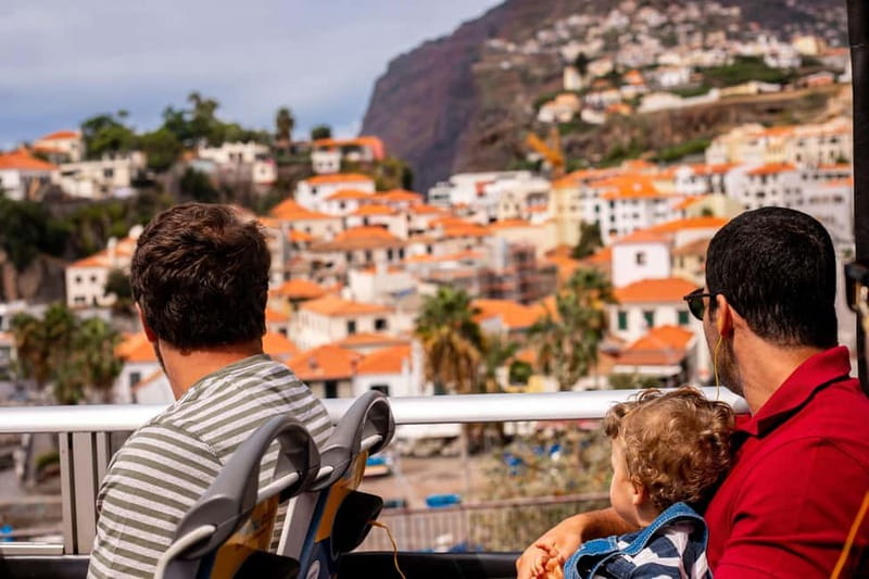 Funchal:Hop-on Hop-off Bus & Whale & Dolphin boat Excursion - Key things that make this combo work