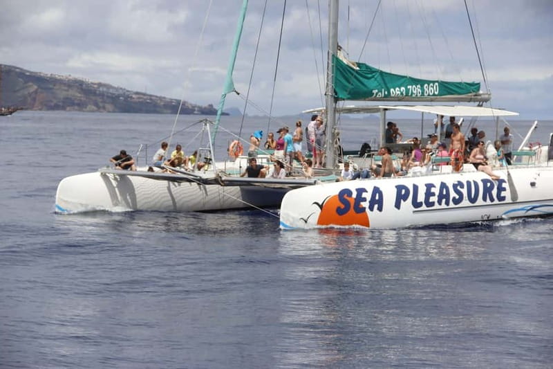 Funchal:Hop-on Hop-off Bus & Whale & Dolphin boat Excursion - 48 hours on the hop-on hop-off bus: easy sightseeing, real views