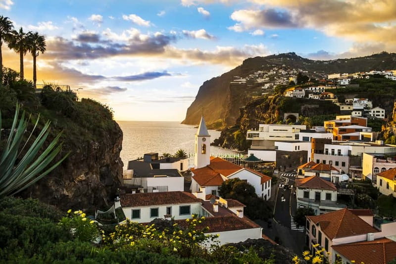 Funchal:Hop-on Hop-off Bus & Whale & Dolphin boat Excursion - Best fit: who should book this and who might want something else