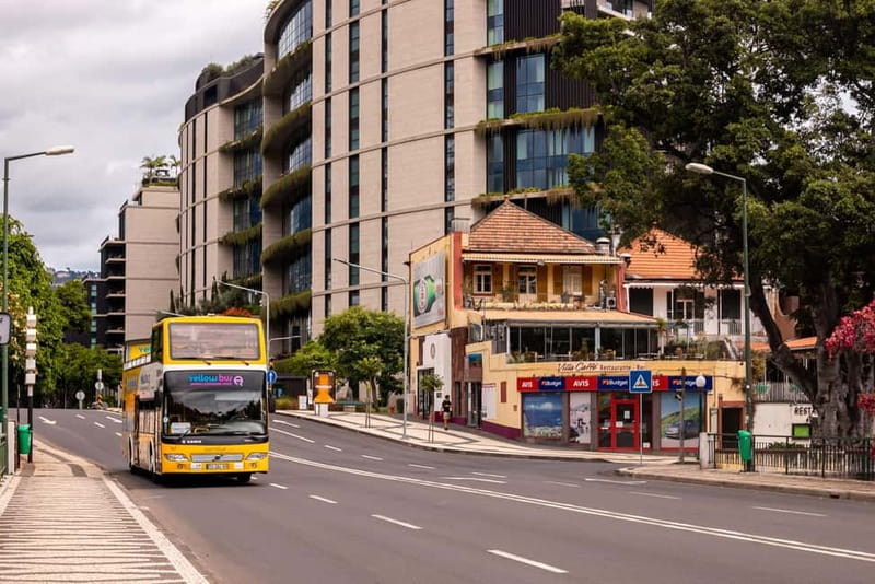 Funchal:Hop-on Hop-off Bus & Whale & Dolphin boat Excursion - Should you book this Funchal combo?