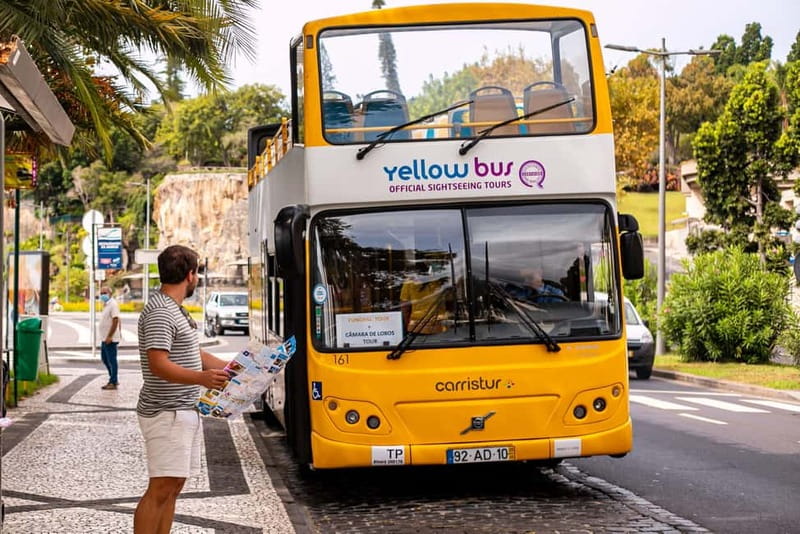 Funchal:Hop-on Hop-off Bus & Whale & Dolphin boat Excursion - Where the bus stops take you: the smart way to use all 30 stops