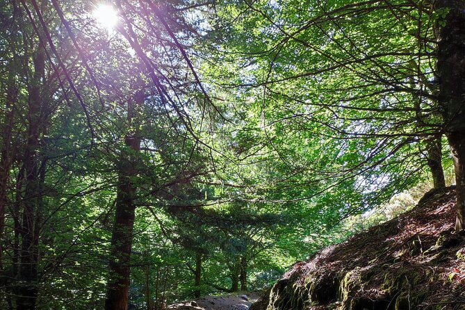 Gastro hike (Private Tour) - Picking the Right Distance: 3.5 km vs 5.5 km