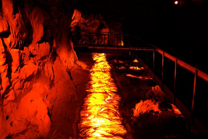 Go North Tour - Madeira Island Excursion - Value at $46.81: what you’re paying for