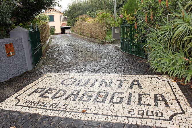 Go South Tour - Madeira Island Excursion - Getting picked up in Funchal without wasting time