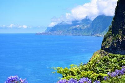 Go West - The most popular tour - Câmara de Lobos: A Fisher Bay Close to Funchal