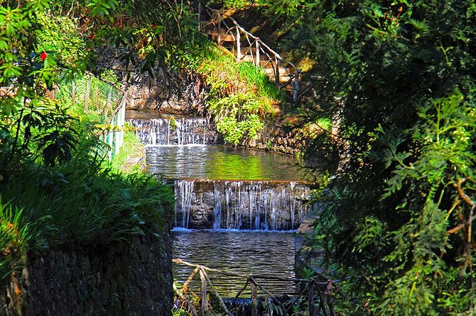 Green Cauldron - Madeira’s Green Cauldron walk: what it really feels like