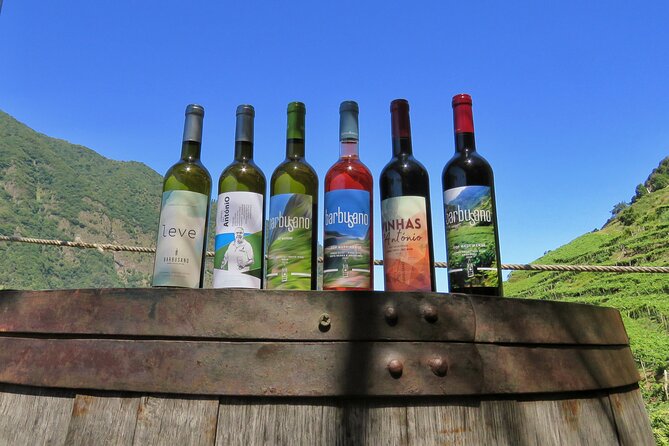 Guided 4x4 Adventure and Skywalk with Wine and Tapas in Madeira - Key highlights you’ll feel right away