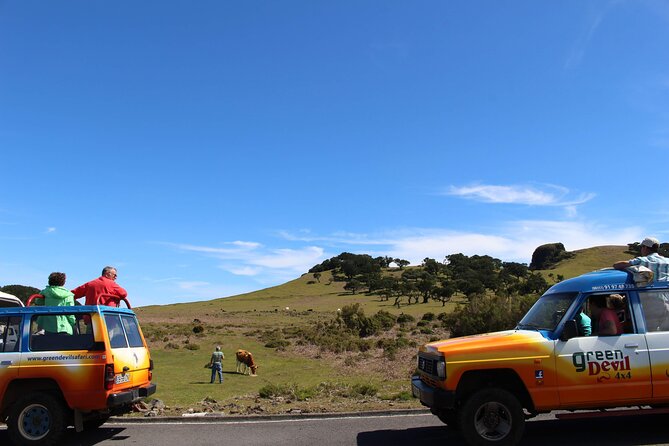 Guided Exploration of Southwest Madeira in a 4x4 - Who This Tour Fits Best (And Who Should Consider Something Else)