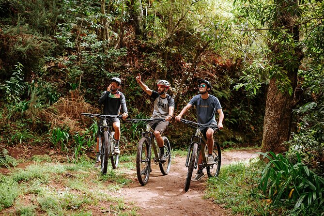 Guided Tour Electric Mountain Bike Experience - Key highlights to look for