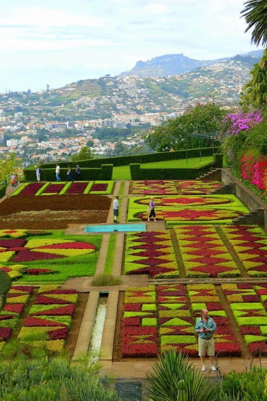 Guided Tuk-Tuk Tour to Botanical Garden (From Funchal) - Key things I’d clock before you go