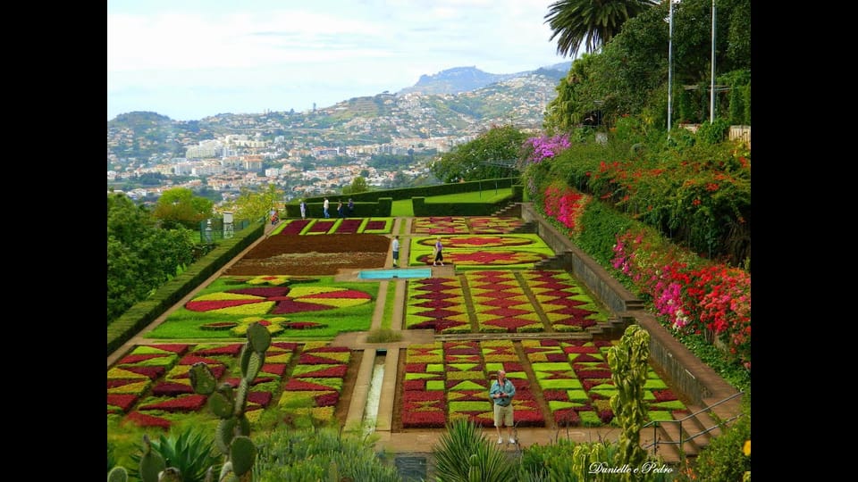 Guided Tuk-Tuk Tour to Botanical Garden (From Funchal) - From Avenida do Mar to Quinta do Bom Sucesso: how the tour starts
