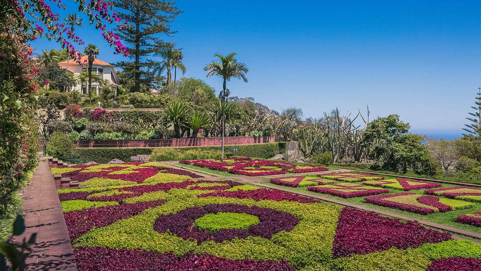 Guided Tuk-Tuk Tour to Botanical Garden (From Funchal) - The best kind of panoramic moment: city center-to-bay views