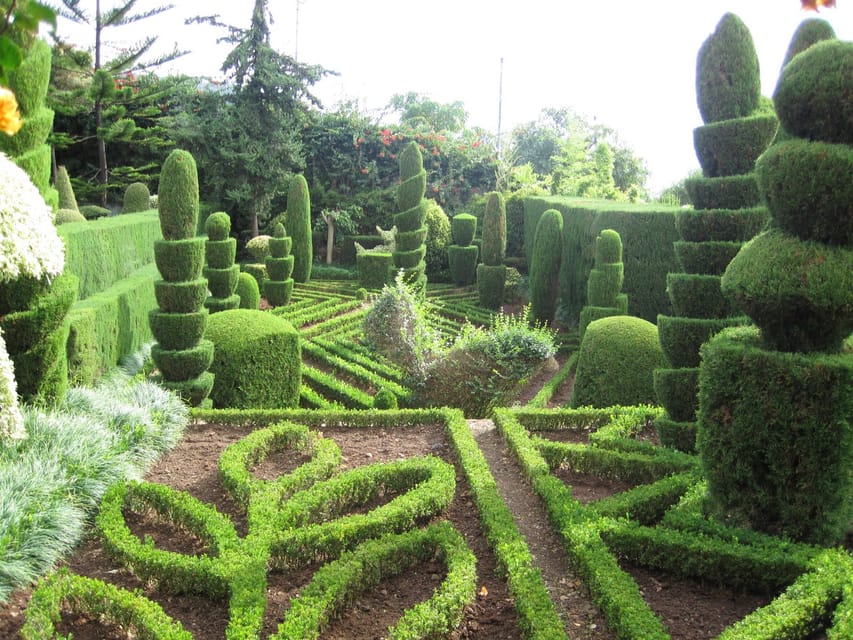 Guided Tuk-Tuk Tour to Botanical Garden (From Funchal) - Quinta do Bom Sucesso: what you’re actually stepping into