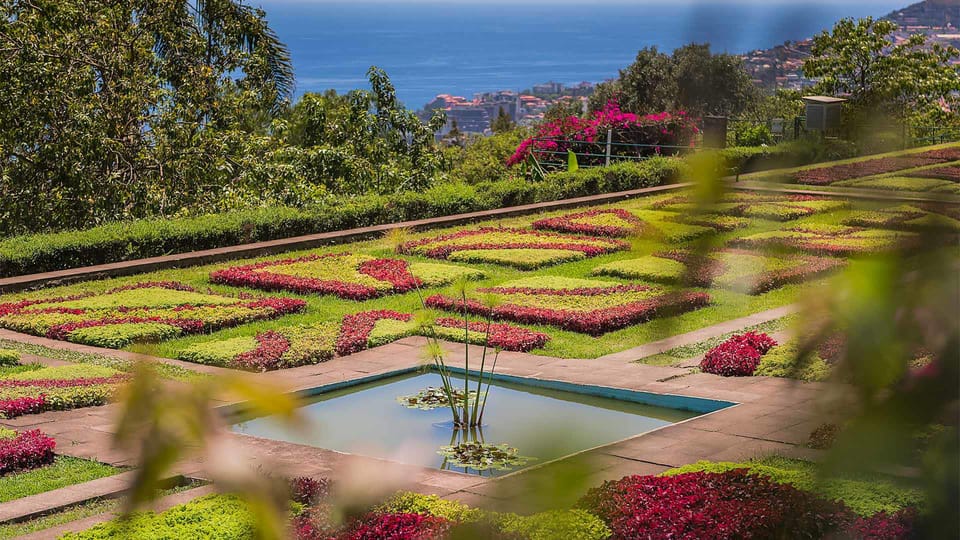 Guided Tuk-Tuk Tour to Botanical Garden (From Funchal) - “Tuk-tuk tour or botanical garden?” Set the right expectations