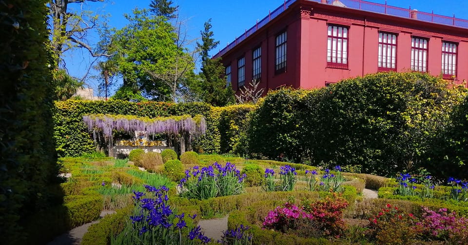 Guided Tuk-Tuk Tour to Botanical Garden (From Funchal) - Why the conservation mission is worth your attention