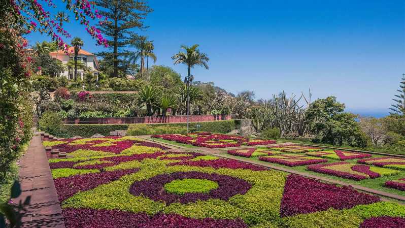 Guided Tuk-Tuk Tour to Botanical Garden (From Funchal) - The tuk-tuk ride: views, timing, and what it feels like
