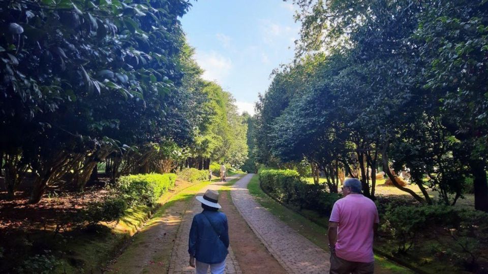 Half-Day Country Market Tour on Madeira Island - Who this tour fits best (and who should skip it)